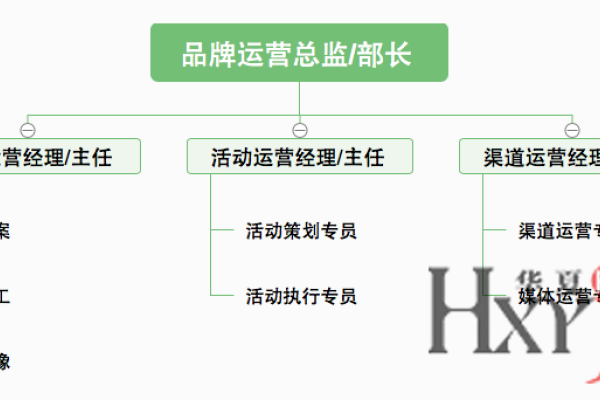 品牌运营流程存在的问题-后浪派