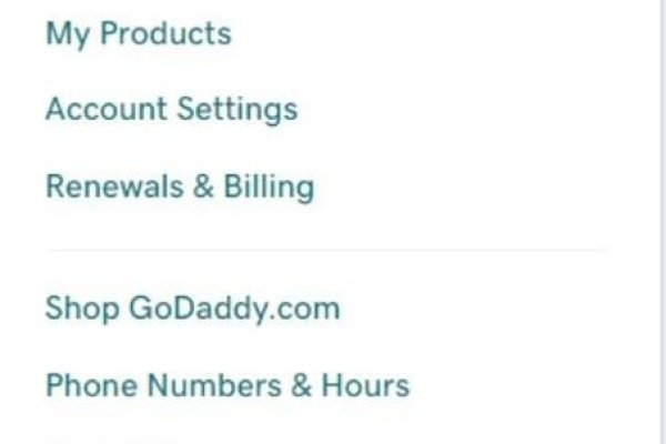 全面解析，域名转入Godaddy的步骤与注意事项-后浪派