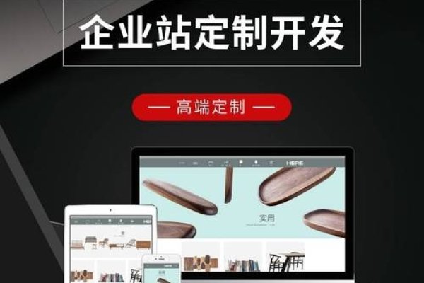 青岛网站优化厂家的专业之道-后浪派