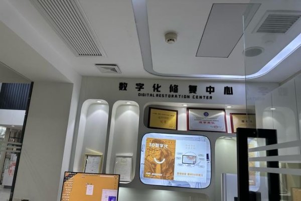 石家庄优化公司选择24火星，专业与创新的完美结合-后浪派