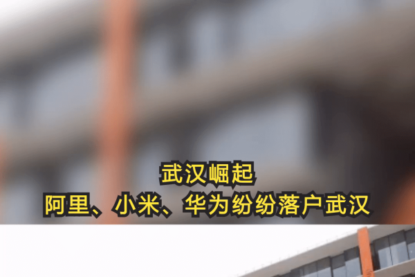 武汉建站公司之选，华企加速器-后浪派