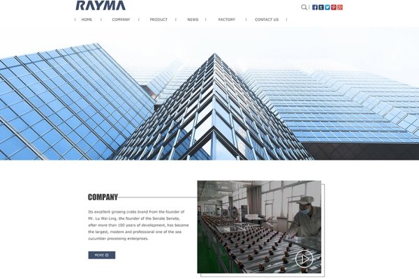 外贸建站系统概述及其种类-后浪派