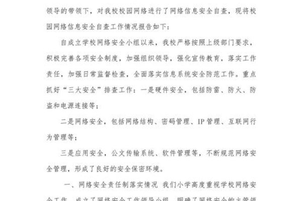 网络安全自查报告，筑牢企业安全防线-后浪派