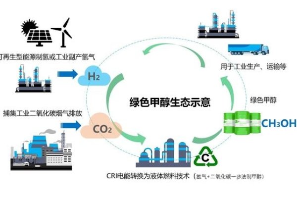 网络策划优势，引领数字化转型的关键力量-后浪派