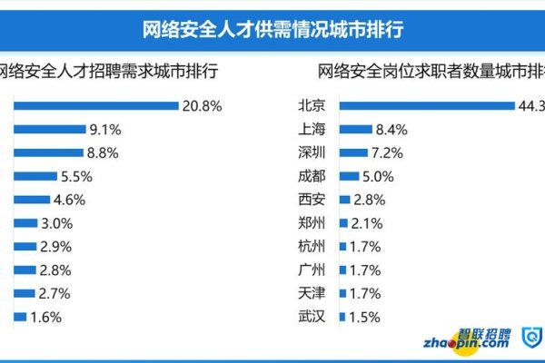 网络空间安全工程师的就业前景展望-后浪派