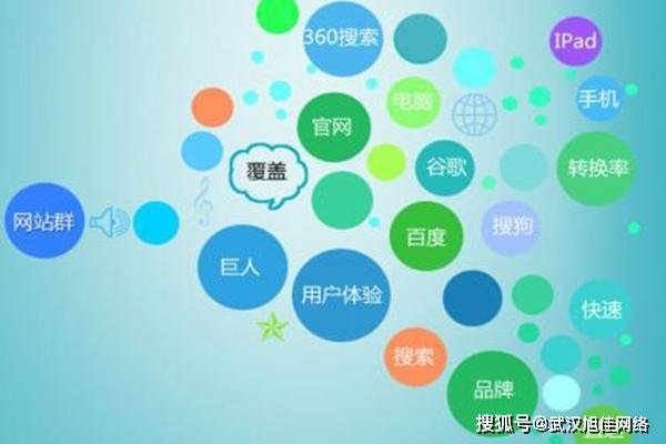 网络推广公司排行及特点介绍-后浪派