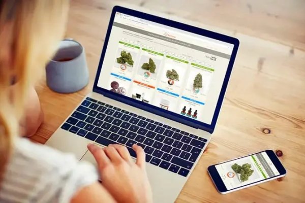 网站主题介绍-后浪派