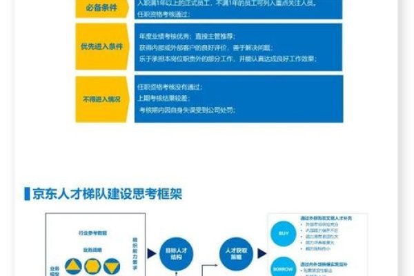 网站制作与推广团队构建，复合型人才招聘、培训与分工策略，强调实效性与针对性的推广方案制定-后浪派