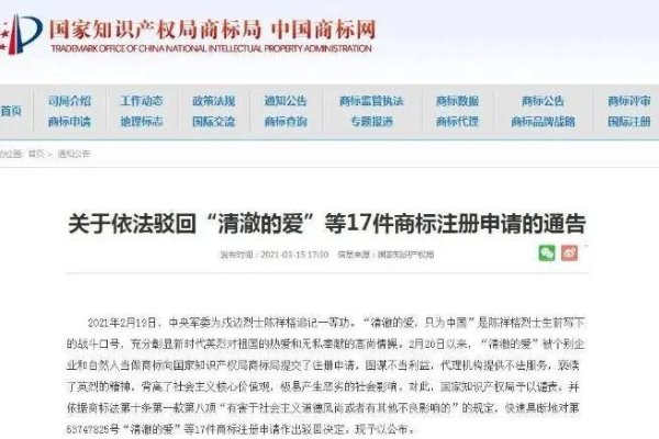 驰名商标注册与域名申请的全方位解析-后浪派
