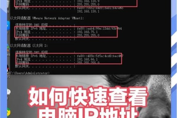 域名IP查询技巧-后浪派