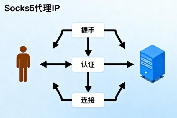 泥马IP代理，探索网络自由的新途径-后浪派