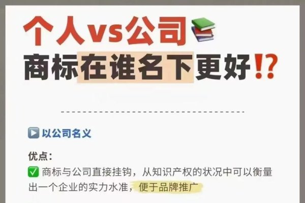 域名注册，个人还是公司的选择-后浪派