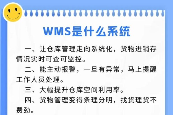 智能仓储管理系统WMS，实现粗放型到精细化的转型关键，高度概括了文本内容，突出了WMS系统的重要性以及其在企业转型升级中的应用。-后浪派