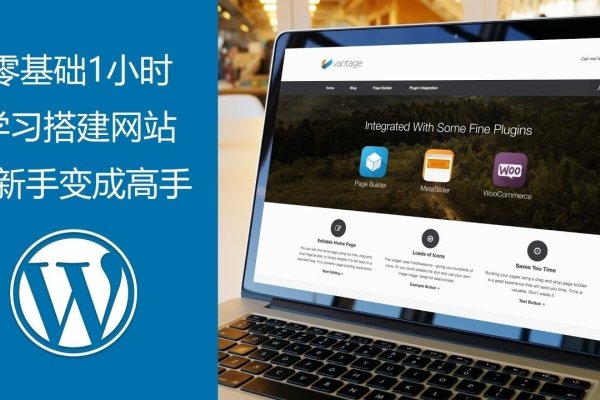 新手建站教程，从入门到精通的指南-后浪派