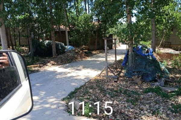 西山区旺视网络工作室与东旺乡辛庄村金融、生态及地推服务介绍和高考体考新评分标准须知-后浪派