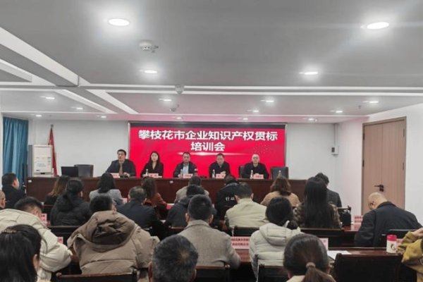攀枝花，专业装饰与知识产权服务领军企业-后浪派