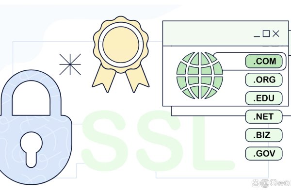 泛域名和普通域名的核心区别及适用场景，建议，解析泛域名与普通域名的差异及应用场景探讨。-后浪派