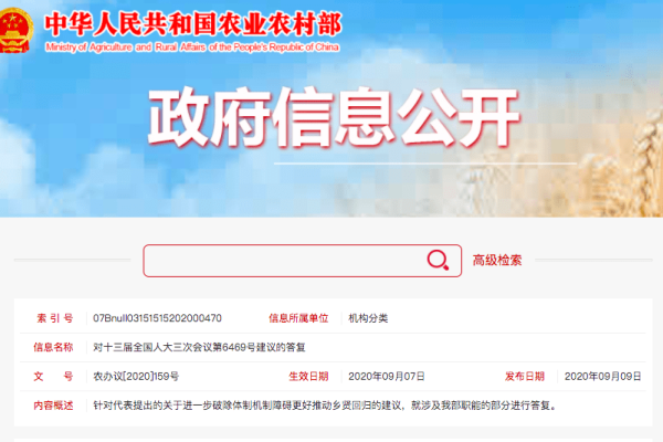 湘阴网站搭建公司招聘-后浪派