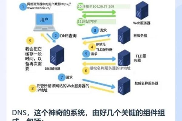 蚂蚁拨号VPS网站背后的技术巨擘—探究VPS服务提供者-后浪派
