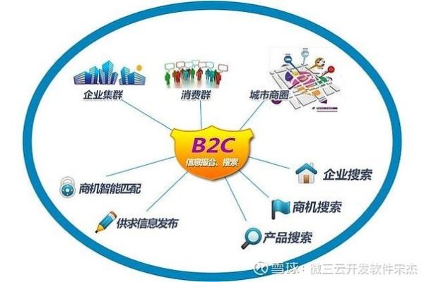 C2B模式电子商务网站创办大揭秘-后浪派
