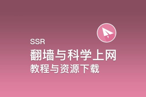 SSR日本服务器的优势与应用-后浪派