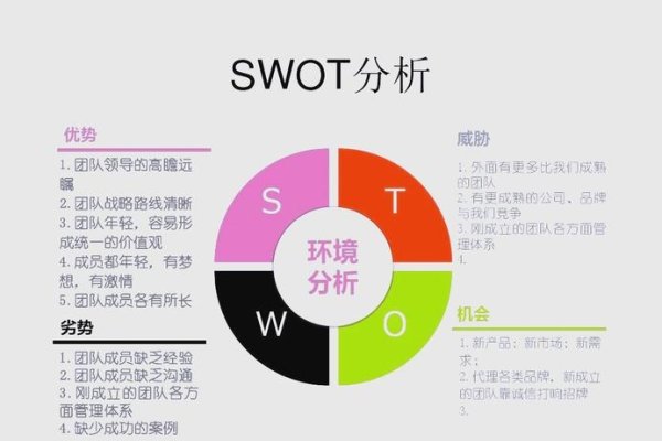 O2O网站SWOT分析-后浪派