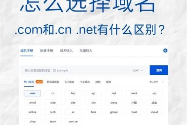 My1777最新域名查询，一站式解决你的域名需求-后浪派
