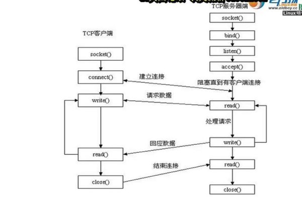 TCP Socket编程，建立连接、数据传输及关键概念解读-后浪派
