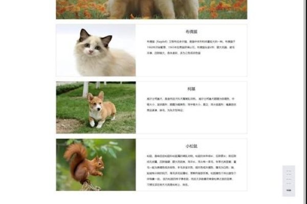 HTML网页设计代码登陆详解-后浪派