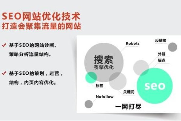 嘉兴SEO排名优化公司介绍-后浪派