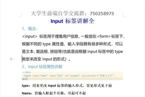 Input标签必填属性详解-后浪派