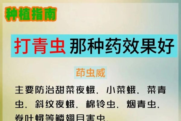 玉米虫网络热词解析-后浪派