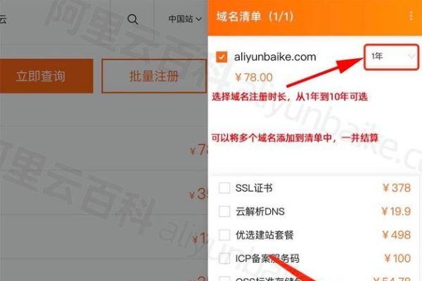 中文域名查询网址及注册指南，便捷访问与功能绑定-后浪派