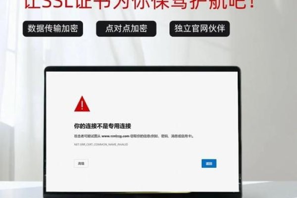 在线网站源码后门查杀，保障网络安全的关键步骤-后浪派